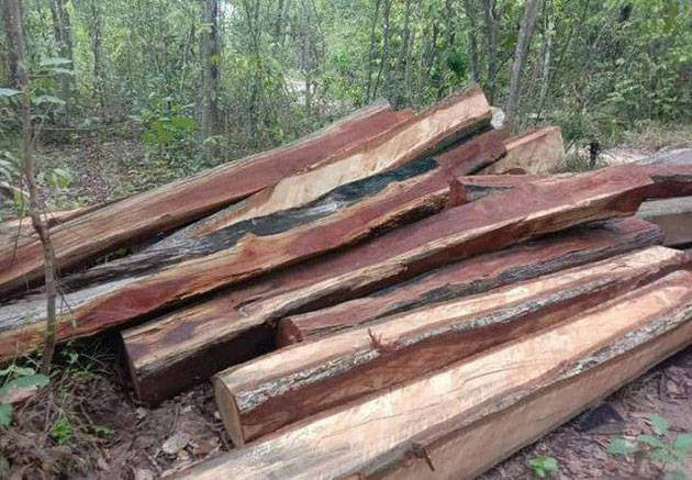 logging002