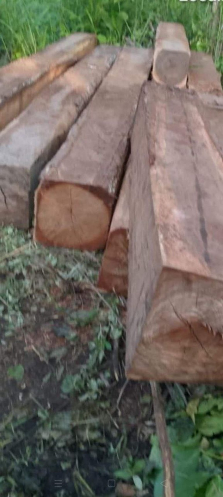 1EACCE52-F55E-49F1-93DC-59BBDC85B9E6