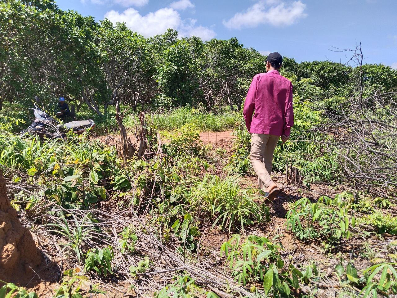 28E67538-55FE-4876-95A1-B039C2A3A154