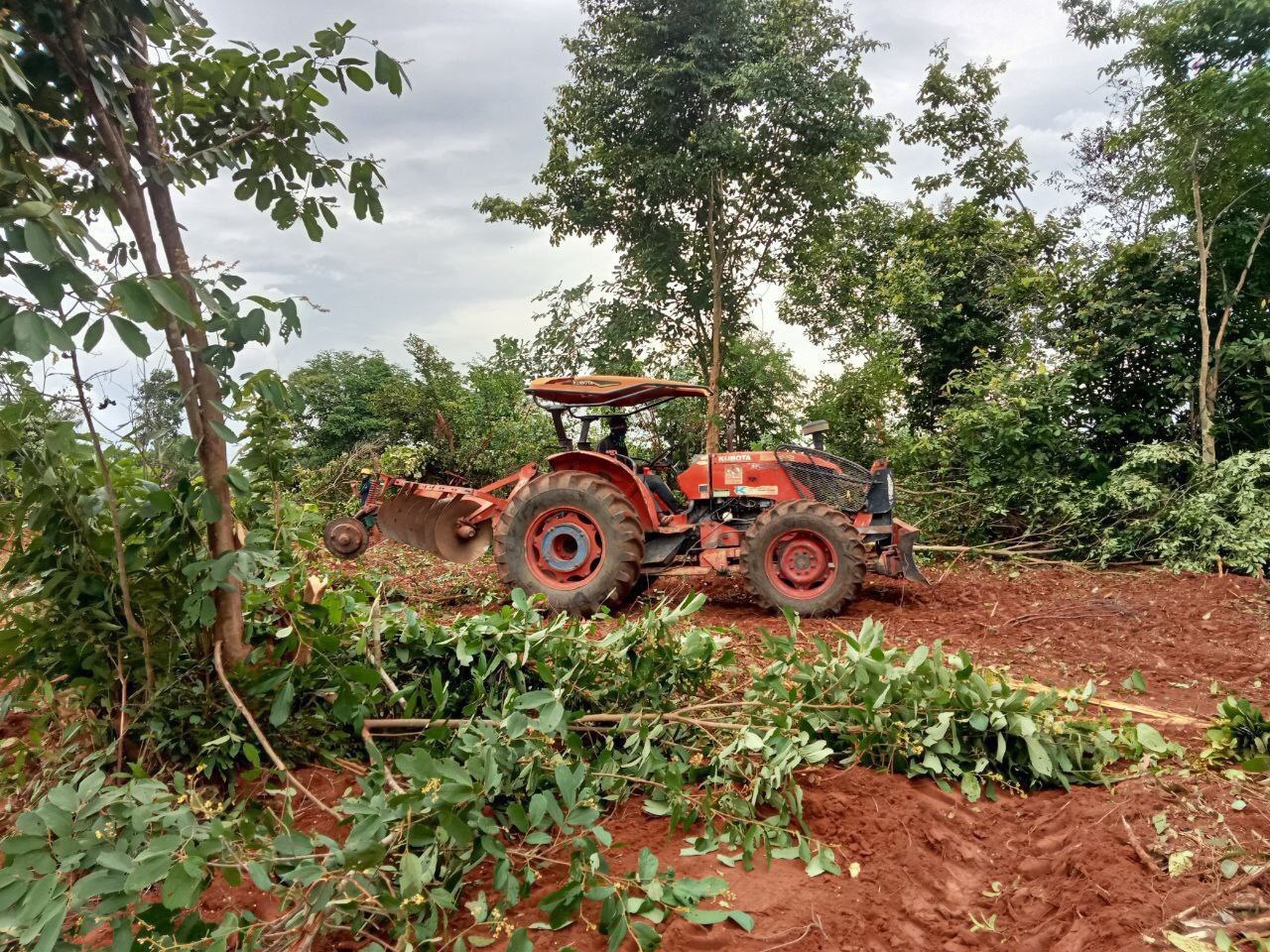 4715EBF1-F90F-46A7-966D-80F6CCBFBE9B