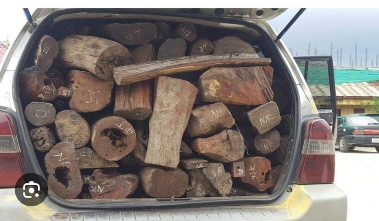 B764532A-D78D-4373-988B-7EE5F021931A