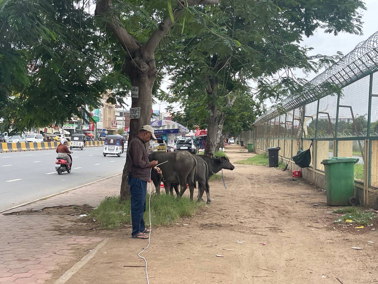 6B514BF2-26CE-404F-B1ED-A98AE1A322EF