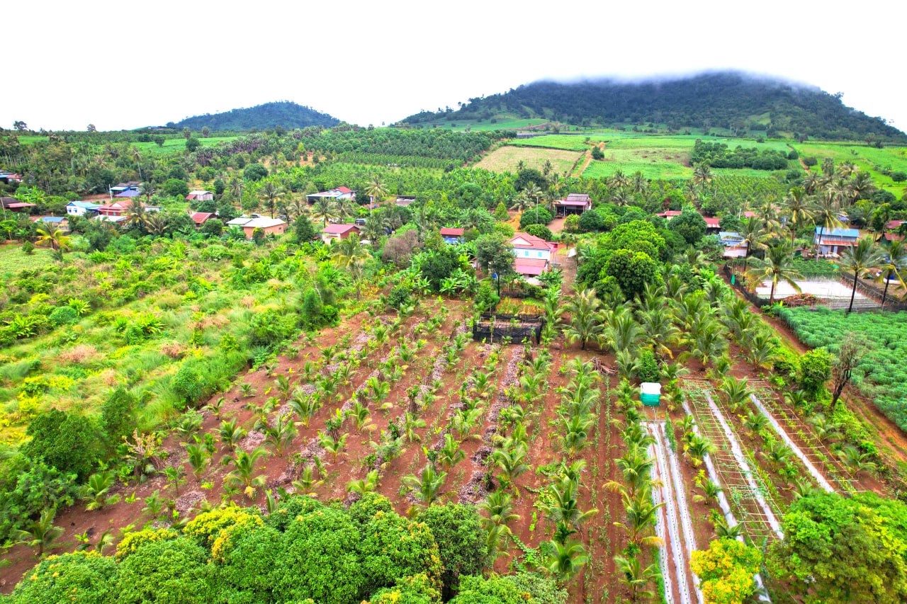 0E09AF92-6453-4BB2-934E-521E357C7738