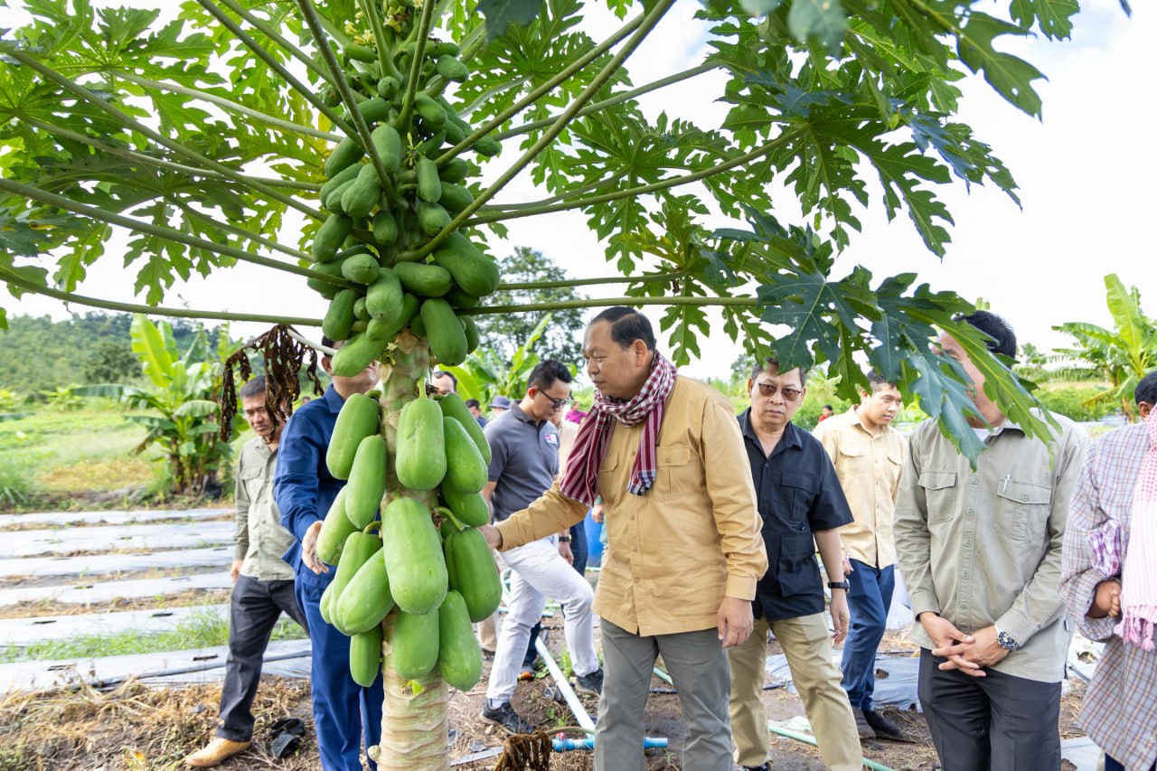 ADB85FF1-3125-454E-83DB-D3F96B0991E2