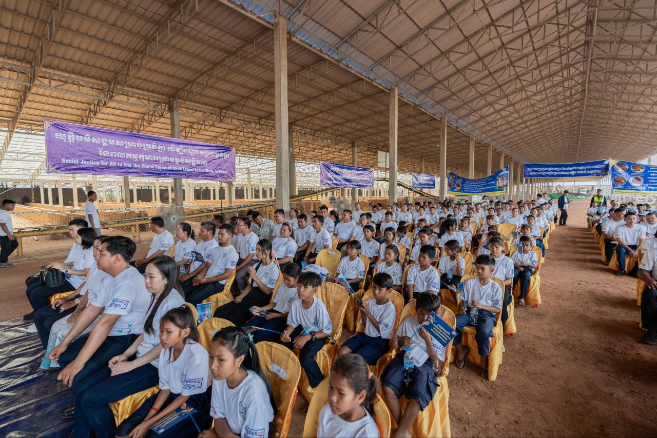 558DCE61-D2EE-480B-8905-6E0E17D4C8CE